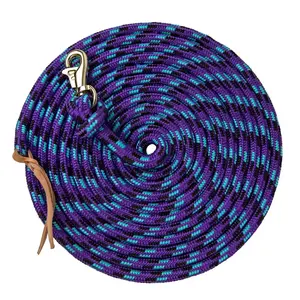 10' Tricolored Clinician Equine Training Lead