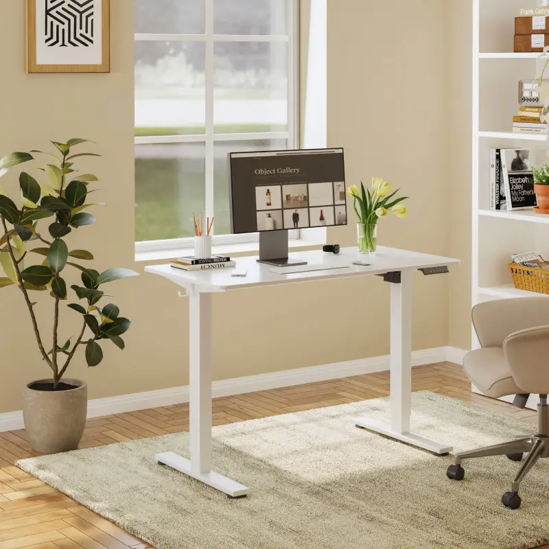 FLEXISPOT EN1 Electric Adjustable Height Standing Computer Working Desk - 48x24in Solid Surface White Eco-Friendly Ergonomic Auto-Adjust Workbench, 5-Year Frame Warranty, 176lbs Capacity, Dual Monitor, Desks for Gaming, Streamer Setup for Home Office