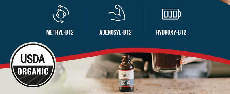 BioActive B12 1000 mcg - 3 Forms + Methylfolate | Sublingual, Cherry Flavor, Organic, Vegan (180 Servings) Healthcare Vitamin Fitness Edible BioActive B12 1000 mcg - 3 Forms + Methylfolate | Sublingual, Cherry Flavor, Organic, Vegan (180 Servings) Healthcare Vitamin Fitness Edible