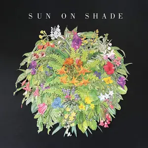 Sun on Shade - Sun On Shade  [VINYL RECORD - LP]