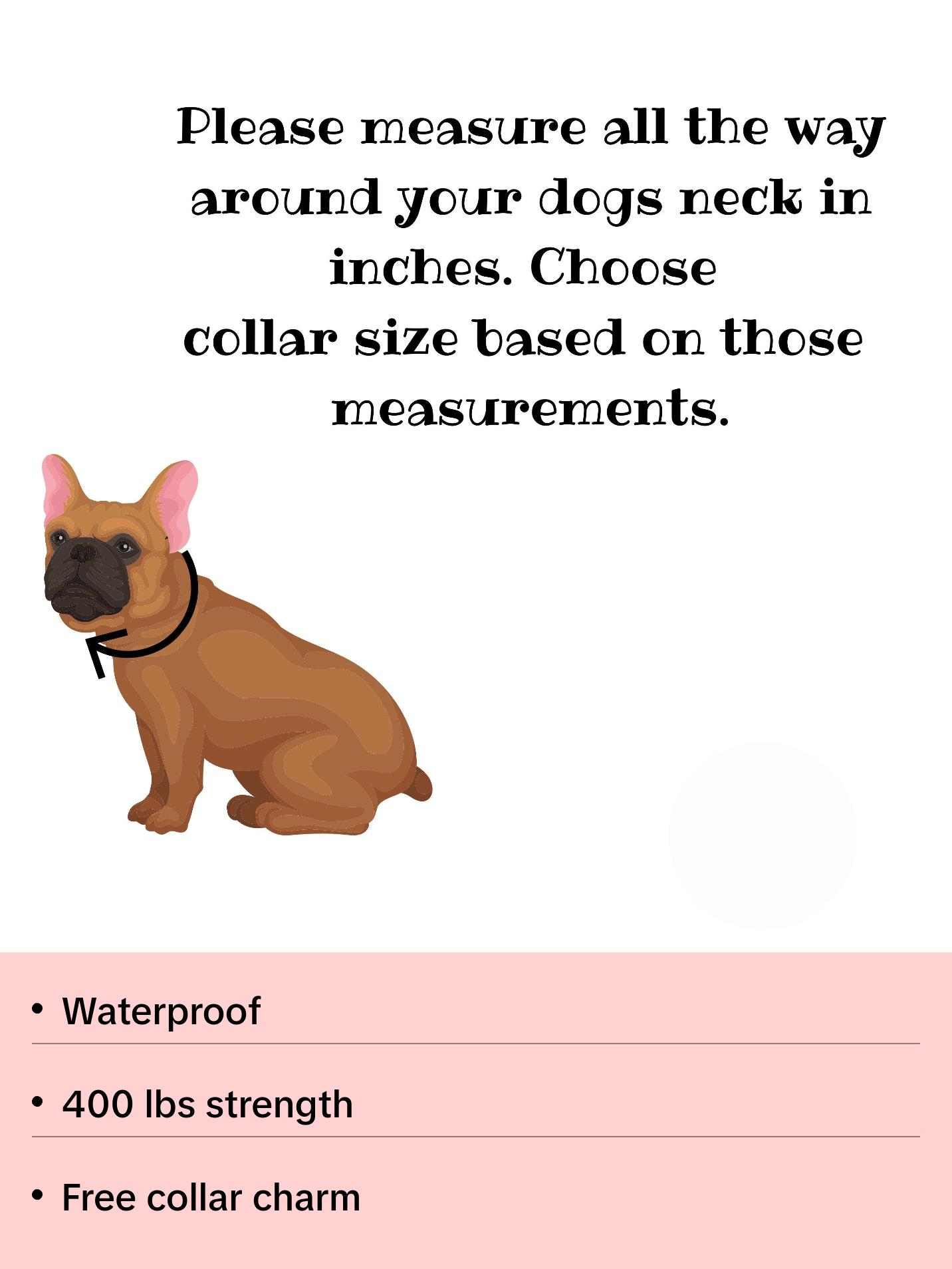 Coral Leopard Beaded Dog Collar | Cheetah Print | Durable Dog Necklace | Custom Coral, Black, Gold & Leopard Print Bead Collar | Pup Pearls