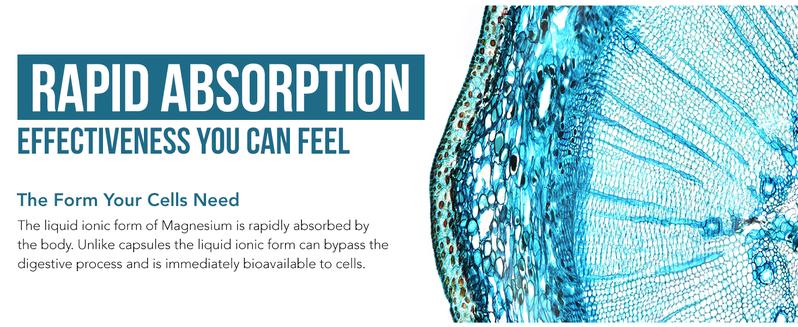 Liquid Magnesium | 8 oz – Ionic Magnesium Chloride for Fast Absorption – Supports Calm Mood, Sleep & Muscle Relief – Vegan, Glass Bottle (96 Servings) Supplement Essential