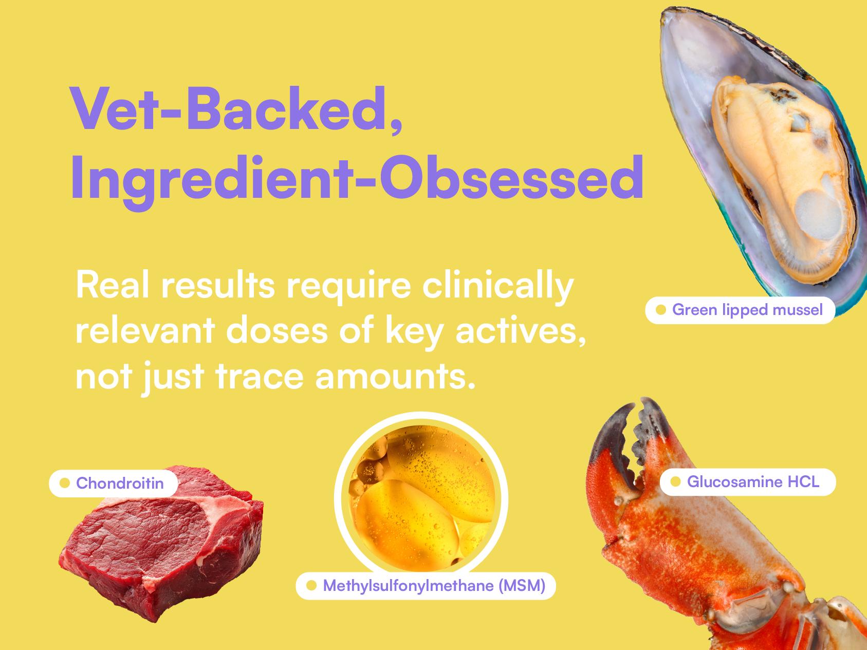 Boops Pets Advanced Hip & Joint Soft Chews - 90 soft chews - Glucosamine, MSM, Chondroitin, Green Lipped Mussel, Hyaluronic Acid - Made in the USA with Real Pasture-Raised Chicken and Real Wholefood Ingredients