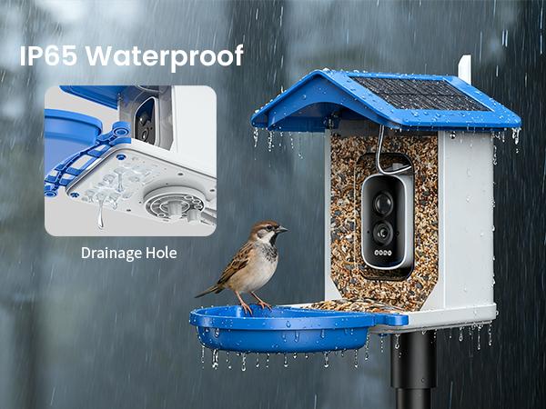 Smart Bird Feeder with Camera Series – AI-Powered, Solar, 2K/2.5K HD, Auto-Bird ID, Motion Alerts, Perfect Gift for Bird Lovers