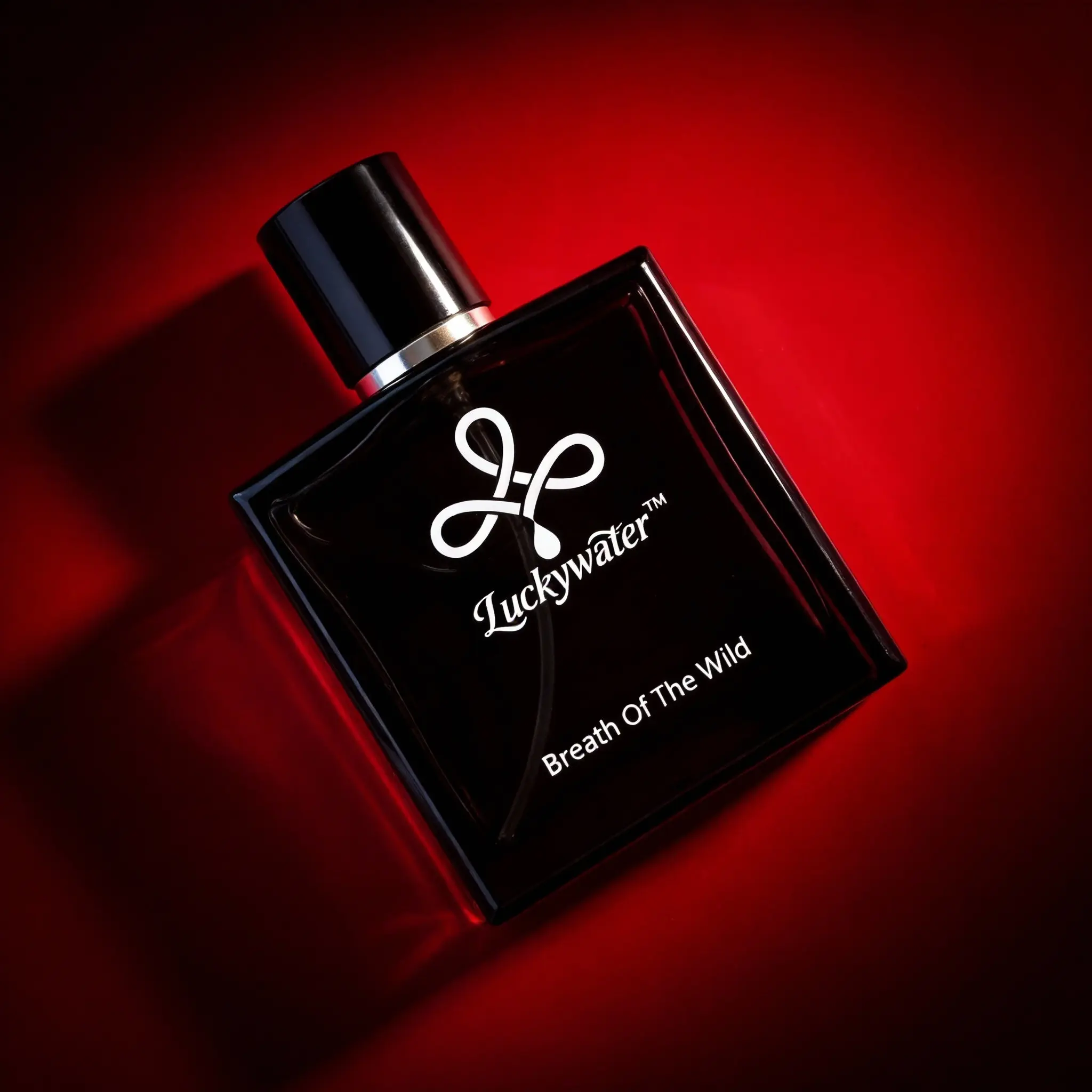 Men's Fresh Cologne 50ml – Aromatic Fougere with Bergamot – Long Lasting Men's Colognes | Summer & Date Night Fragrance | Daily wear woody modern powerful fragrance eau deparfum | gifts for men | perfumes for men | perfume para hombres | cologne for men