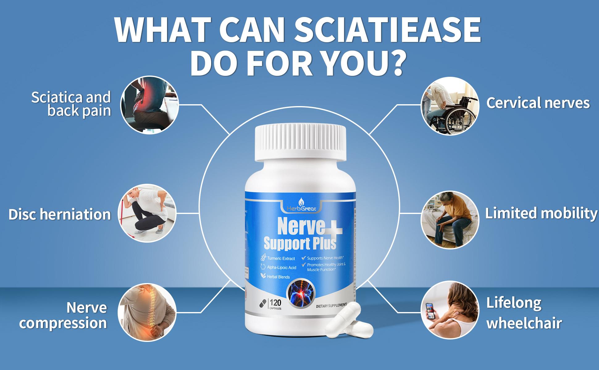 HERBGREAT Nerve Support Plus - 120 Capsules for Sciatic Nerve Health & Joint Comfort - Turmeric, Alpha Lipoic Acid, Acetyl-L-Carnitine, Vitamin C & B-Complex - USA Made - Sciatica Relief Supplement - Bone Immune Drops HERBGREAT Nerve Support Plus - 120 Capsules for Sciatic Nerve Health & Joint Comfort - Turmeric, Alpha Lipoic Acid, Acetyl-L-Carnitine, Vitamin C & B-Complex - USA Made - Sciatica Relief Supplement - Bone Immune Drops
