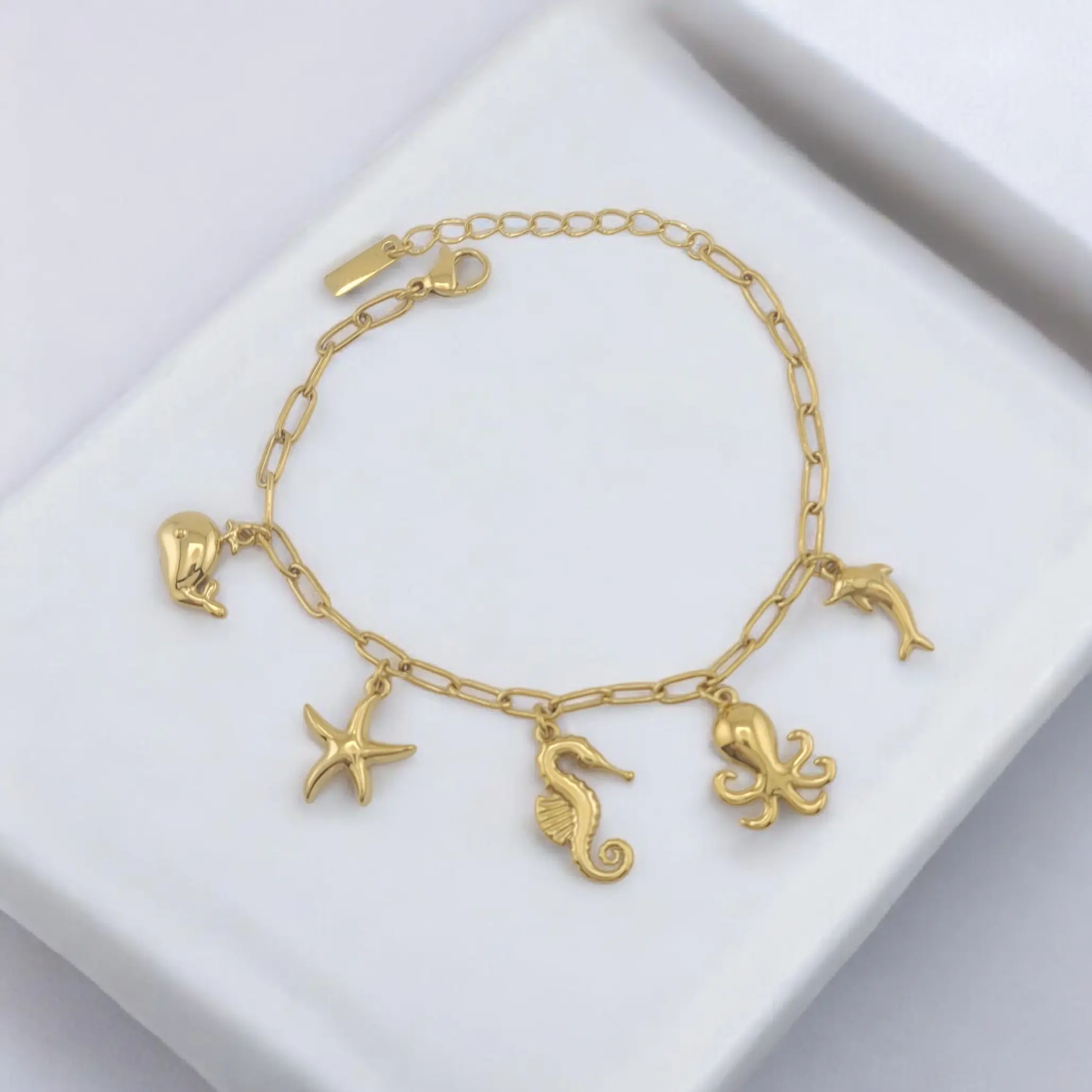 FWJ Gold Plated Ocean Motifs Bracelet with Stars & Dolphin Charms, Unisex Casual Fashion with Adjustable Chain, 6.5" + 1" Extension, Daily Wear, Metal Coating, Nautical, Stainless, Chain Jewelry Bracelets & Bangles