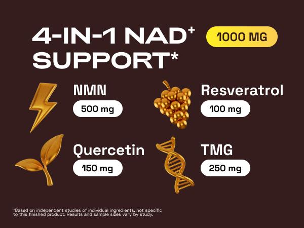 Cata-Kor NAD+ Supplement – NMN 1000 mg | Quercetin | TMG | Resveratrol Complex – Supports Cellular Energy & NAD+ Levels - Vitamin Dietary Supplement Healthcare