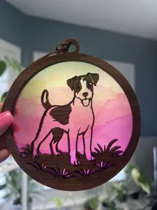 Jack Russell Terrier for Sunny Window