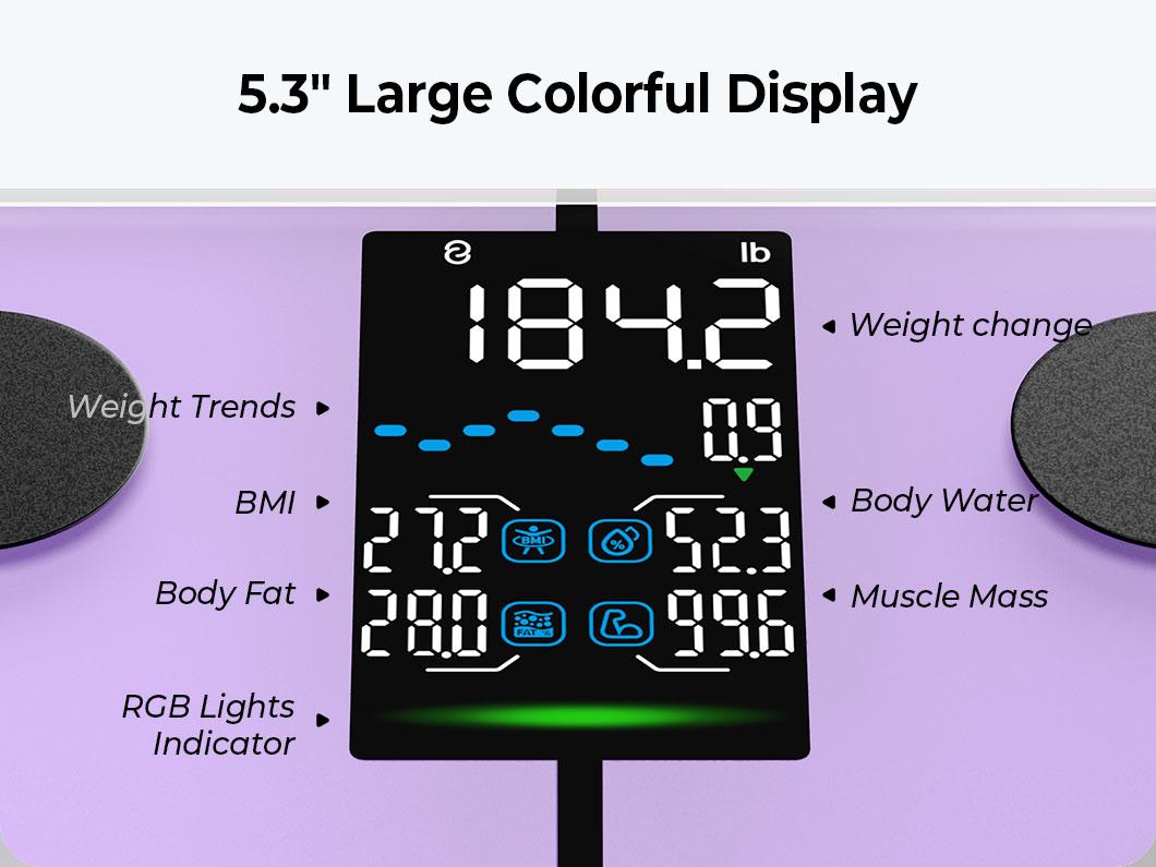 Ovutek Scale for Body Weight, Purple, Digital Bathroom Smart Scale with 14 Body Composition Analyzer Sync Weight Scale BMI Health Monitor Sync Apps 400lbs
