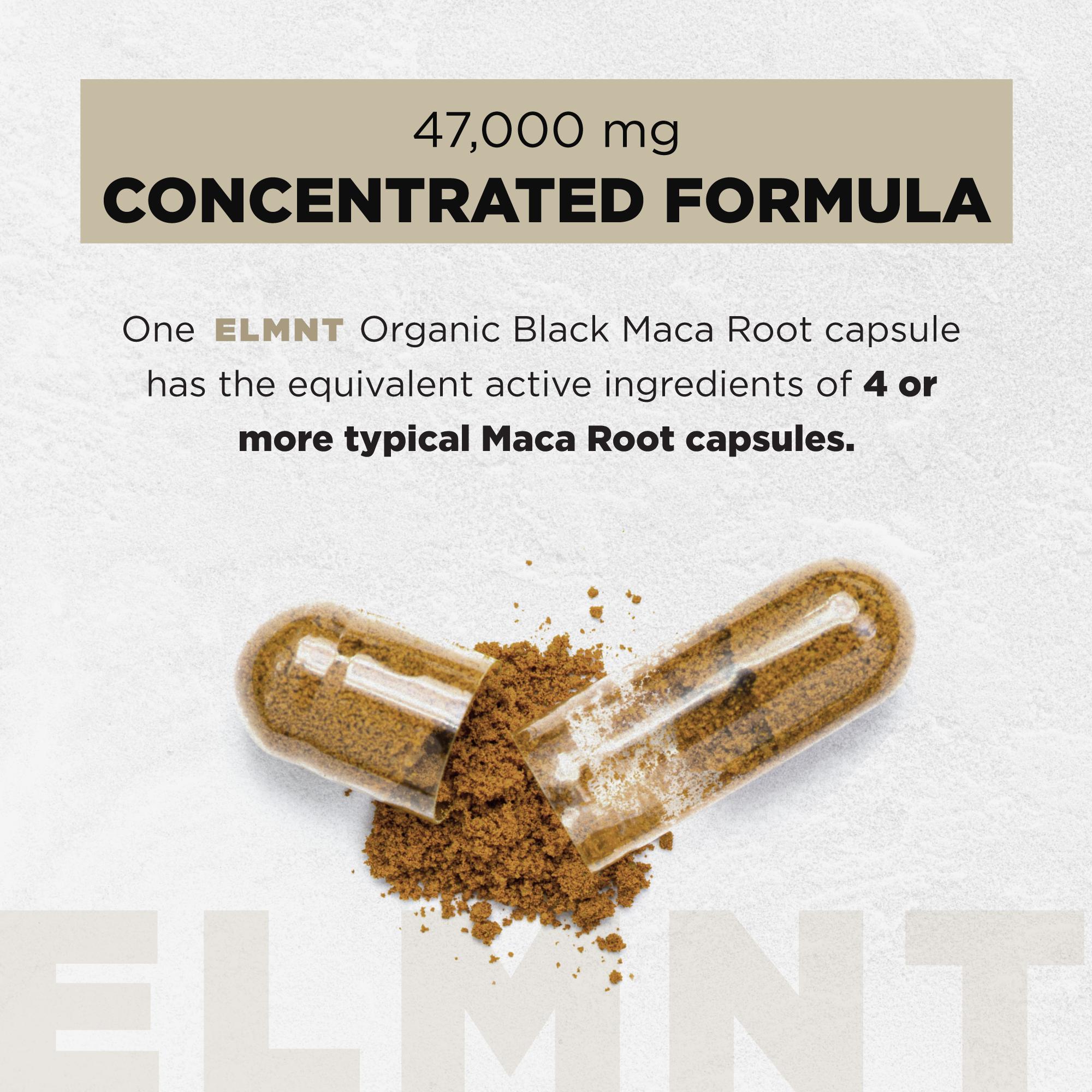 TERRA ELMNT Black Maca Root Supplement | Supports energy, stamina & balance | Organic maca with ashwagandha capsules TERRA ELMNT Black Maca Root Supplement | Supports energy, stamina & balance | Organic maca with ashwagandha capsules