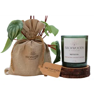 Mistletoe All Natural Wooden Wick Candle - Seasonal Scent
