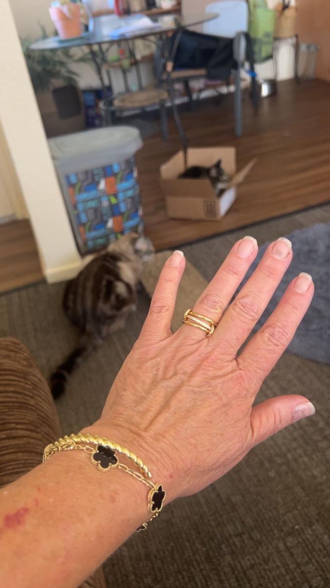 Item: Fine Bands CZ Yellow Gold, 7