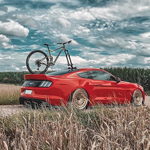 ROCKBROS Suction Cup Bike Rack for Car Roof Top Sucker Bike Rack Quick Release Aluminium Alloy Bike Carrier with Sucker for Bikes