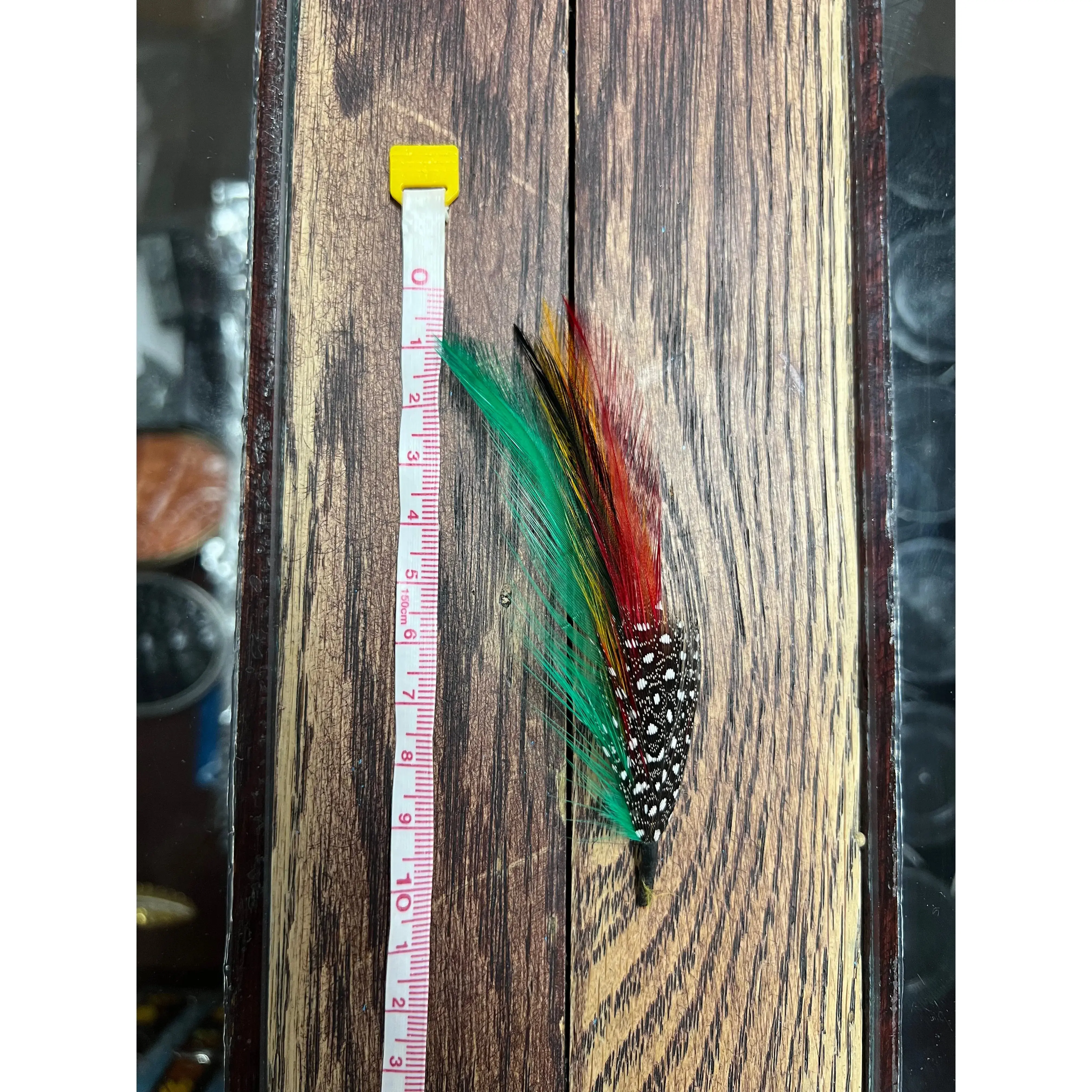 Multi-color Pluma/Feather Multi-color Pluma/Feather