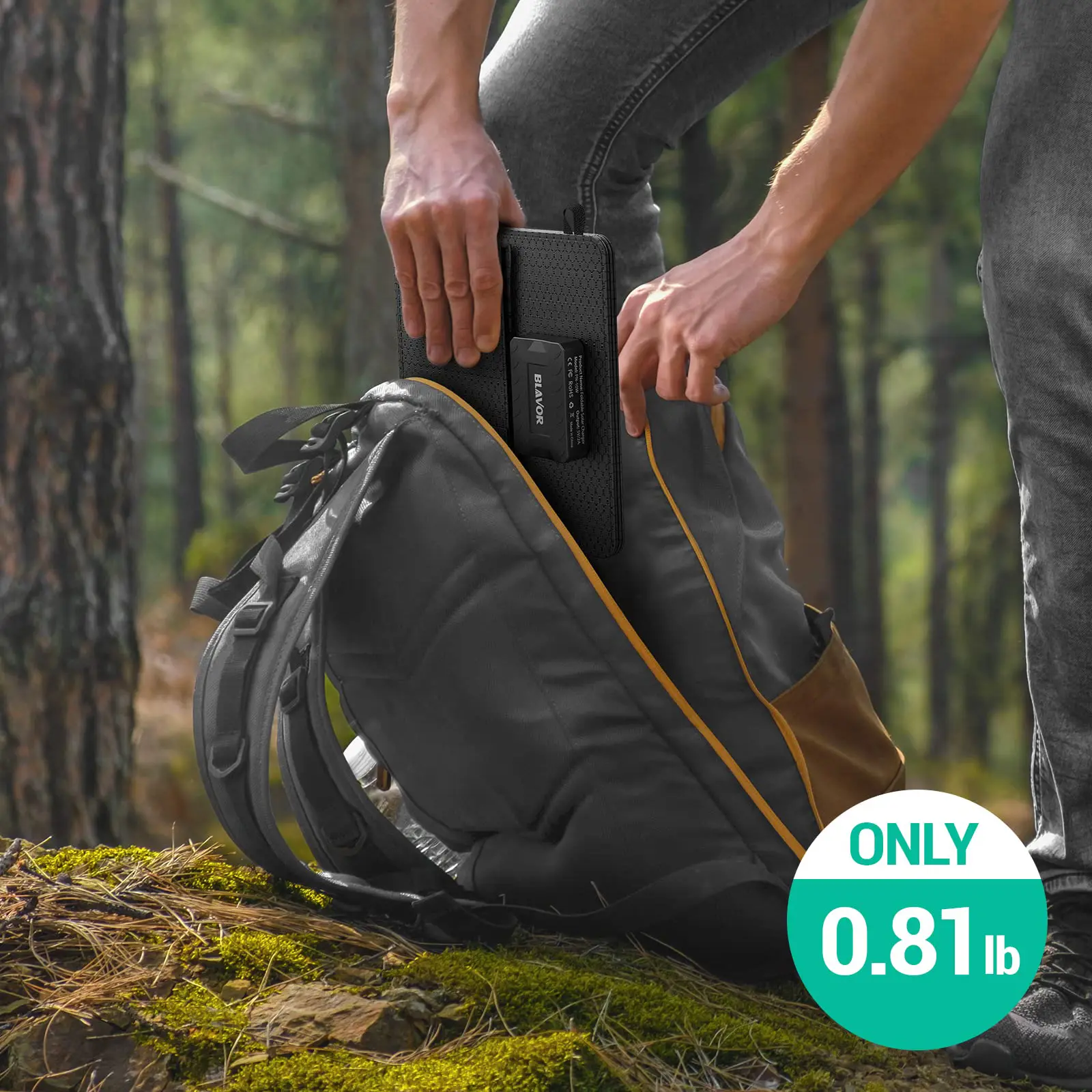 BLAVOR 10W Portable Solar Charger | Foldable Solar Panel with USB-C & USB-A  Outputs | IPX4 Waterproof | Compatible with Phones & Tablets | Perfect for  Camping, Hiking & Backpacking Trips - TikTok Shop