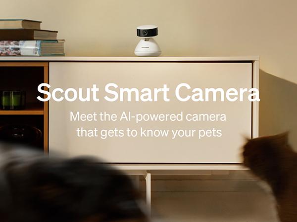 PETLIBRO AI Dog Camera Pet Camera Indoor with Phone App [Multi-Pet Recognition, Daily Activity Analysis & Smart Summaries] Cat Camera 360° View, 1080P Dog Cam Night Vision, 2-Way Audio WiFi Cam Cat