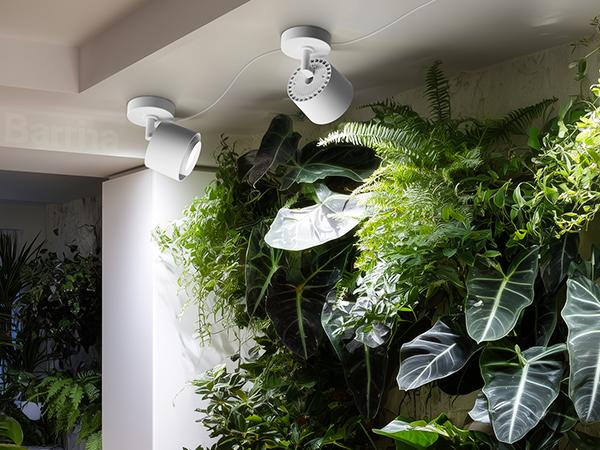 Barrina TR40a Track Grow Light for Indoor Plants, 40W Hanging Grow Lights with Adjustable Beam Angle (15°-60°), 5000K Full Spectrum Wall-Mounted Plant Light with Timer for Growing Houseplants,1-Pack