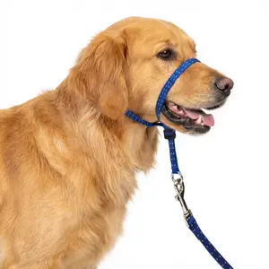 Headcollar for Dogs
