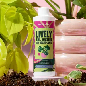 Southside Plants Lively - Premium Soil Conditioner and Booster for Houseplants – Beneficial Bacillus Blend for Fertile Soil, Better Drainage & Moisture Balance – Safe for All Houseplants