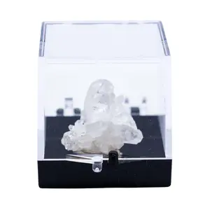 Arkansas Quartz Crystal Perky Box Display (Assorted)