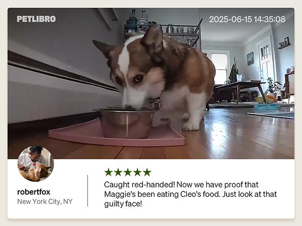 PETLIBRO AI Dog Camera Pet Camera Indoor with Phone App [Multi-Pet Recognition, Daily Activity Analysis & Smart Summaries] Cat Camera 360° View, 1080P Dog Cam Night Vision, 2-Way Audio WiFi Cam Cat