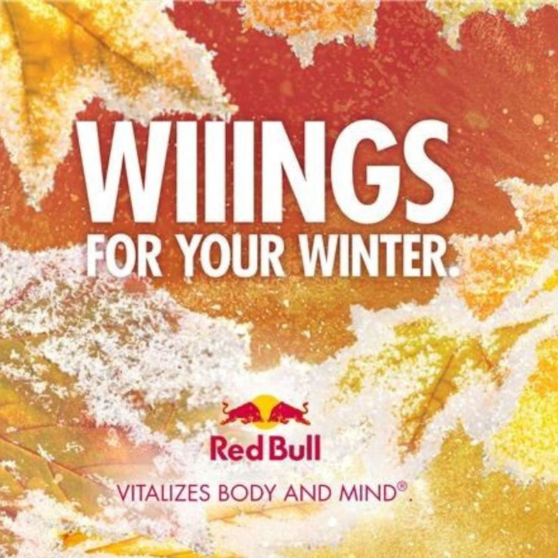 Red Bull Winter Edition Fuji Apple & Ginger  Energy Drink 12 fl oz - Choose Your Pack 1-24 CANS regular and Sugar-Free Caffeine B-Vitamins Electrolytes