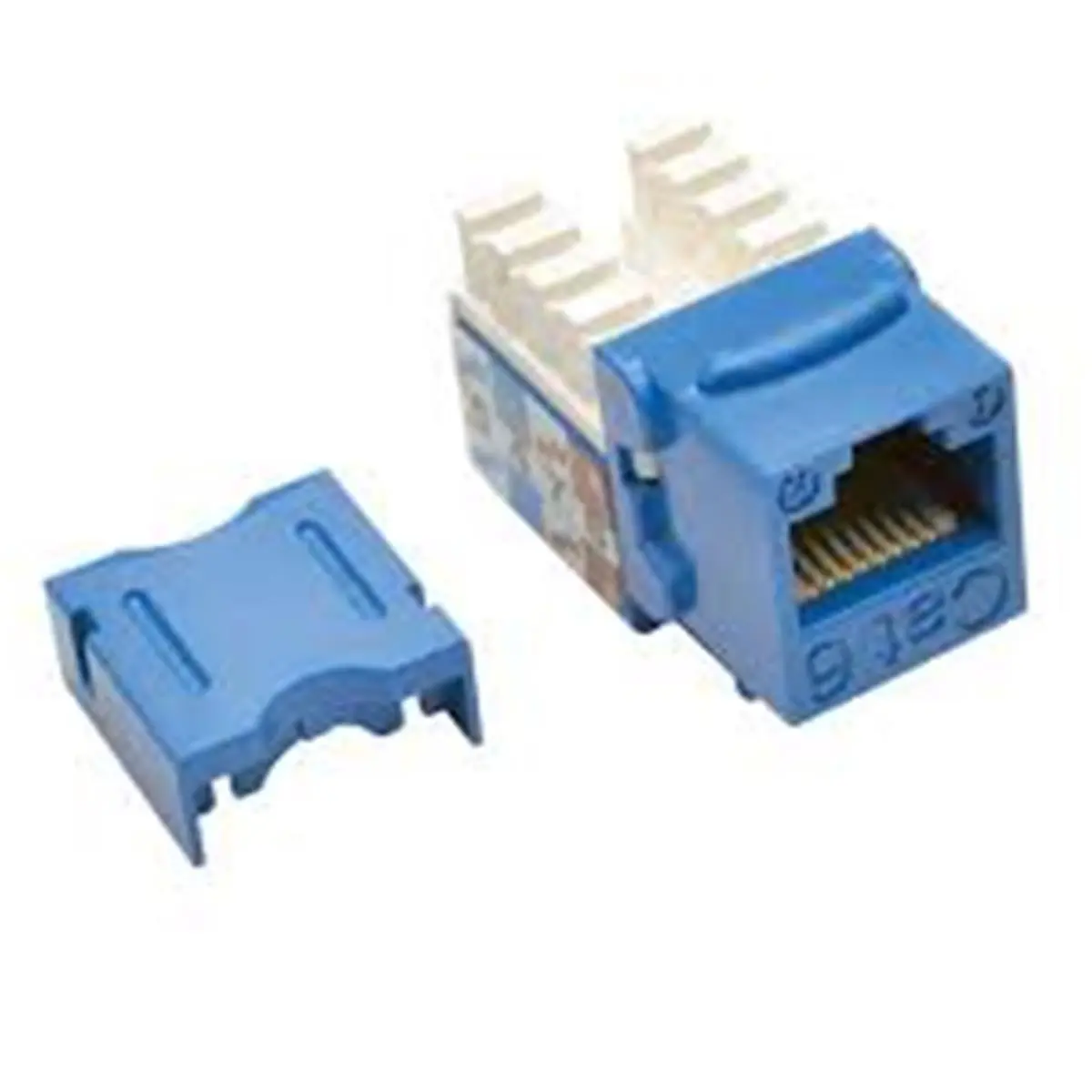 Tripp Lite N238-025-BL UL-Certified RJ45 Female Punch Down Keystone Jack, Cat6/Cat5e Compatible, Dual-Labeling Feature, Blue