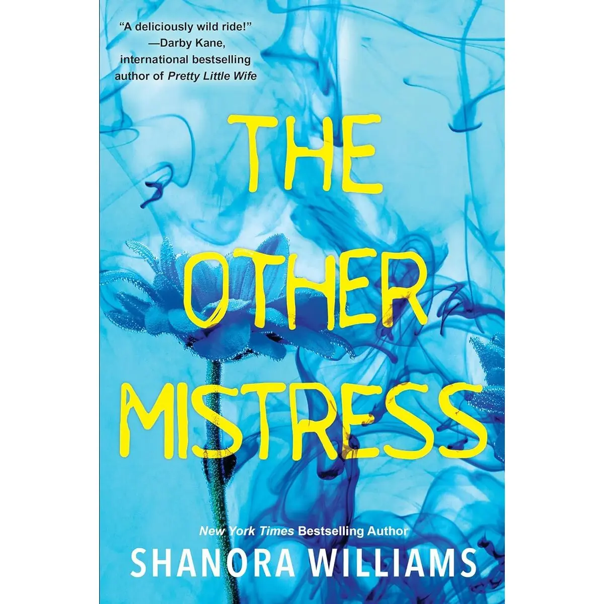 The Other Mistress: A Riveting Psychological Thriller with a Shocking Twist Paperback – June 27, 2023