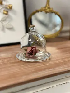 Glass Dome Display Cloche with Base: A
