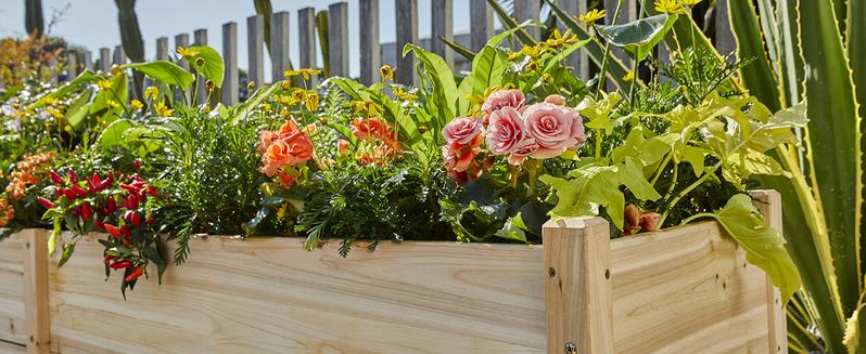 AMERLIFE Wooden Raised Garden Bed with Legs - 15 Inch Deep Elevated Planter Box Outdoors for Deep Rooted Plants, Ideal for Balcony, Patio, Easy Assembly AMERLIFE Wooden Raised Garden Bed with Legs - 15 Inch Deep Elevated Planter Box Outdoors for Deep Rooted Plants, Ideal for Balcony, Patio, Easy Assembly