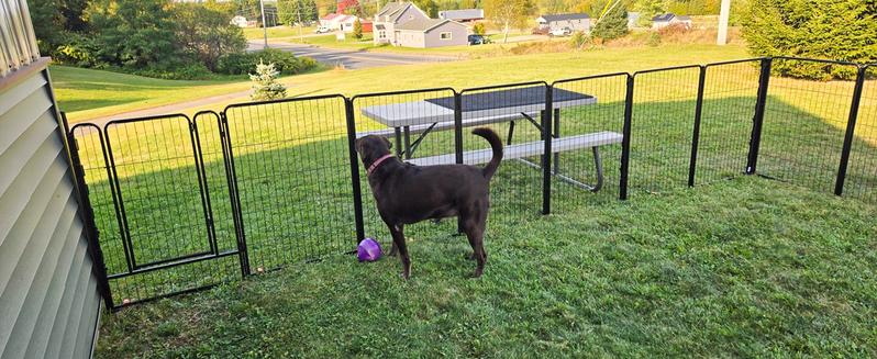 FXW Garden Fence Outdoor for The Yard, 24"/32"/40"/45" Height x 7.6-15.2ft Length, Heavy Duty Metal Animal Barrier for Dog and Rabbit, Decorative Dog Fence, 4/6/8 Panels