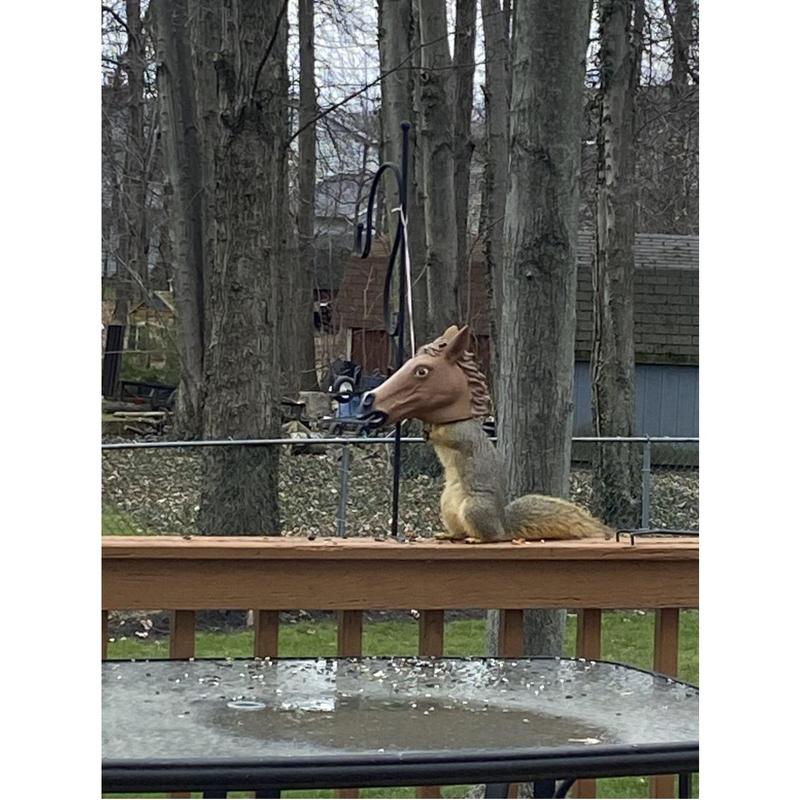 Horse Head Squirrel Feeder - Wildlife Garden Outdoor Home Gift ~ Archie McPhee