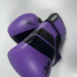 Hayabusa Boxing Gloves