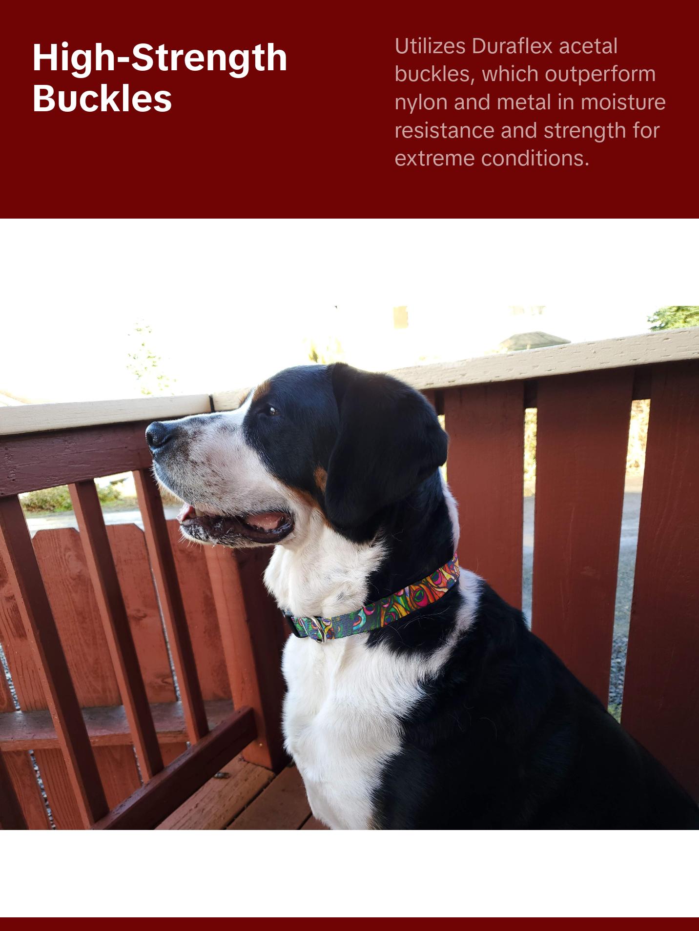 Tiffany Peacock Dog Collar - Made in USA