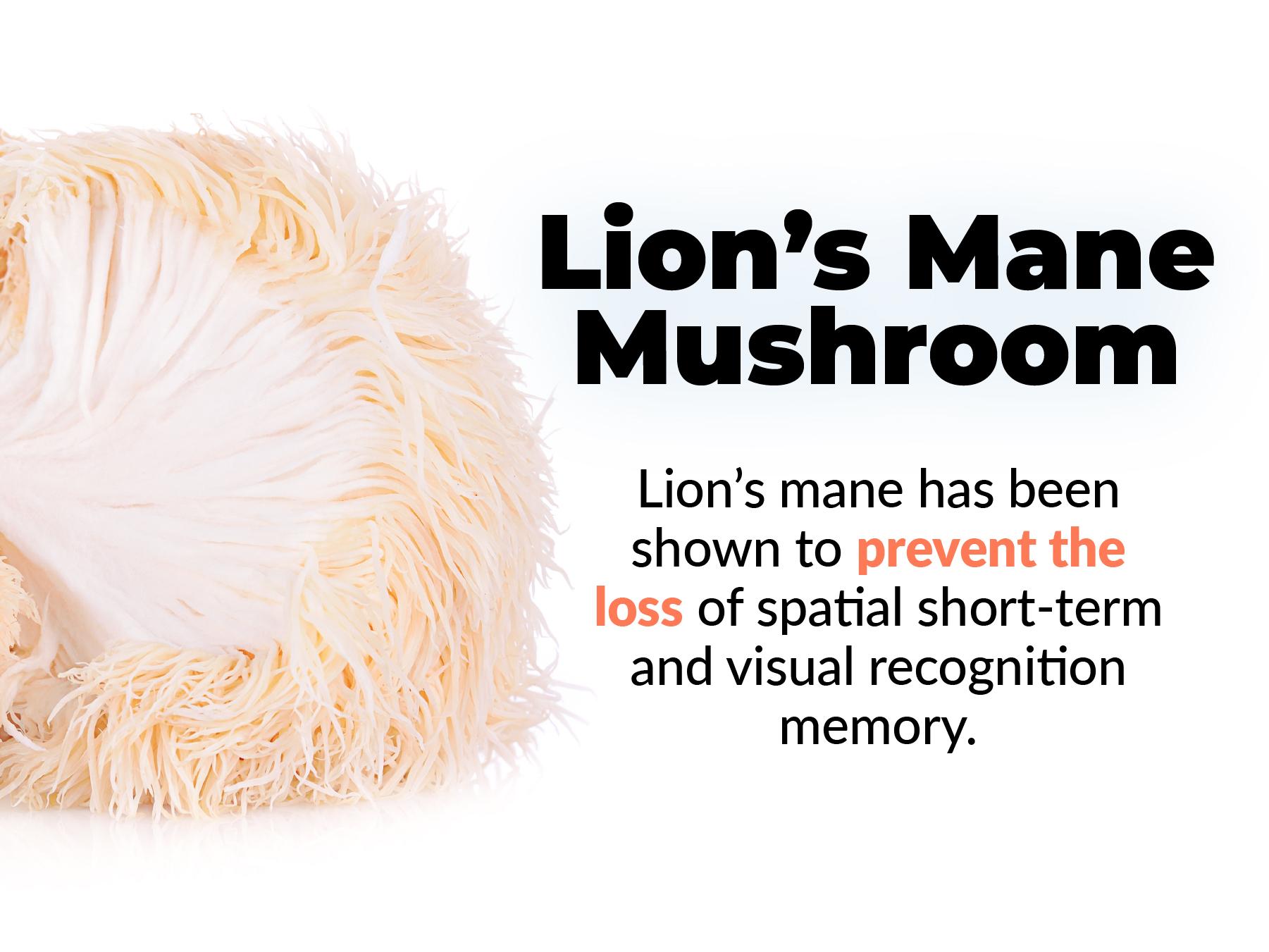 Nootropics Brain Memory and Focus Supplement by PUREHEALTH RESEARCH - Lions Mane, Shiitake, Chaga, Reishi Mushrooms Powder - Cognitive Health with Bacopa Monnieri and Gingko Biloba Extract, 1 Bottle Dietary Healthcare