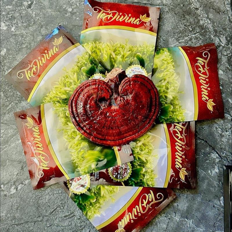 Té Divina - Buy 4 Get 2 Free, Natural Herbal Tea Caffeine-Free, 6 Weeks, Infused With Reishi premium Beverage