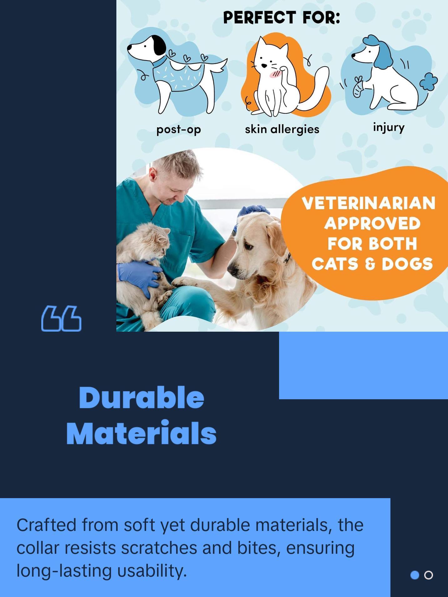 Protective Inflatable Collar for Dogs and Cats - Soft Pet Recovery Collar (Large, Blue)