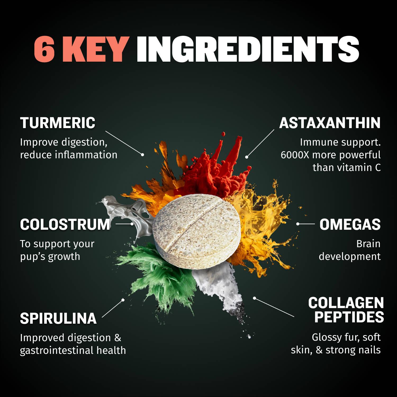 Bully Max Puppy Tabs - Development & Growth Support for Muscle Growth, Immunity, and Wellness - 9,000x Stronger Immune Boost Than Vitamin C