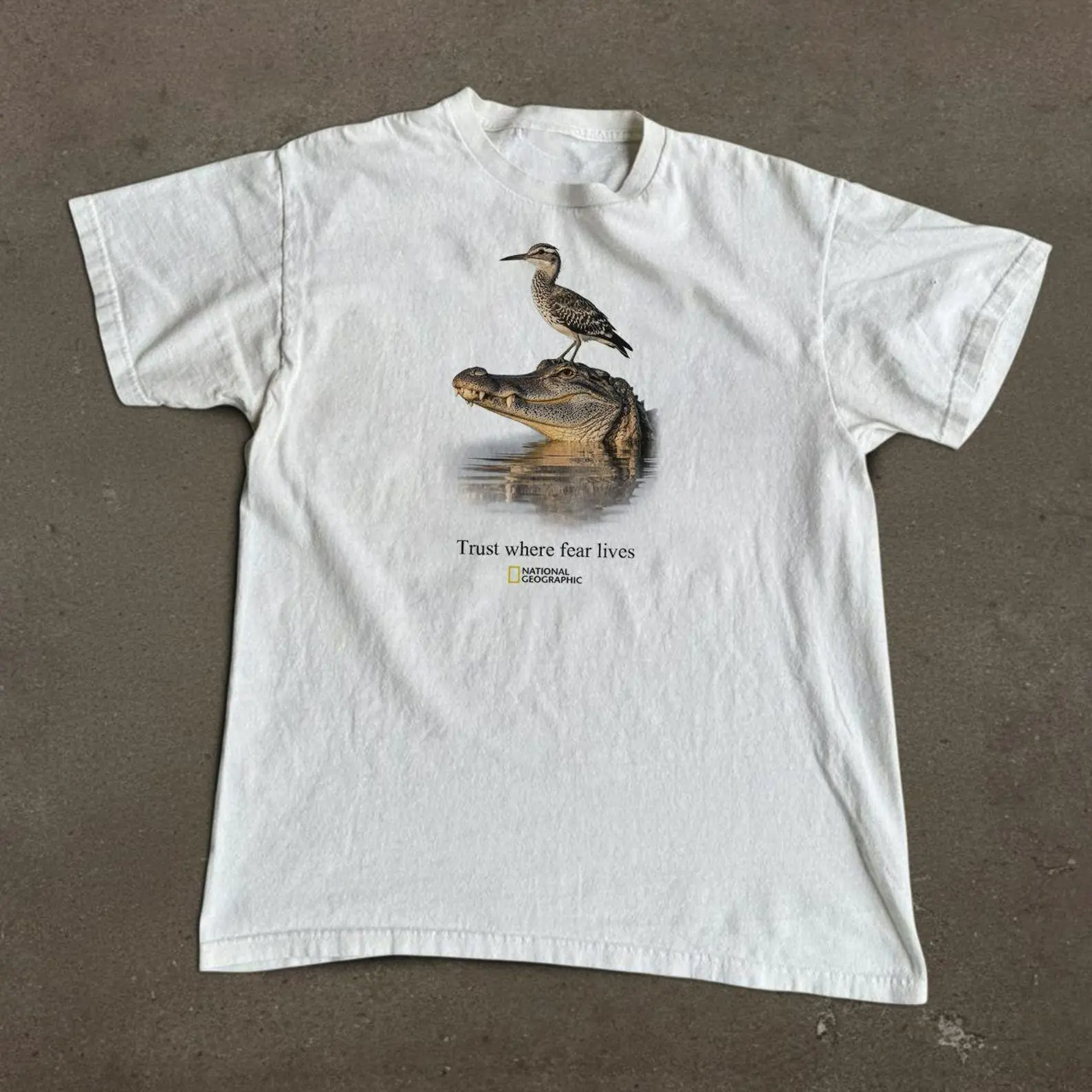 Women's National Geographic Alligator Bird Short-Sleeve Round-Neck Regular-Fit Foldable Top, "Trust Where Fear Lives" Tee