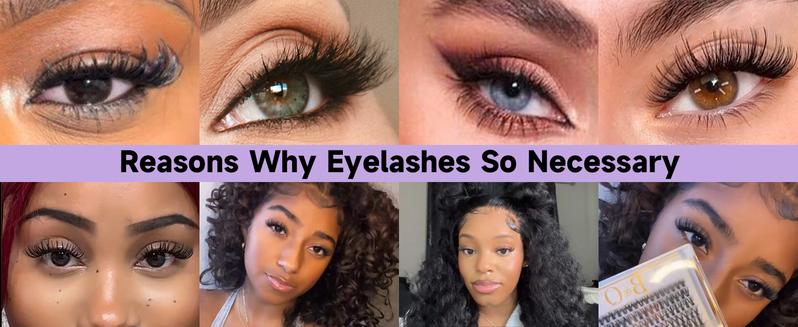 B&Q Classic Kit l B02,B03,B05 B19 B37 Lash kit,DIY Cateye Eyelashes Extension at Home Makeup Cosmetic Valentine Gif