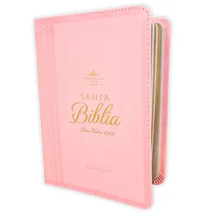 Biblia Portatil Letra Grande 12 puntos RV1960 imit piel rosa clasica