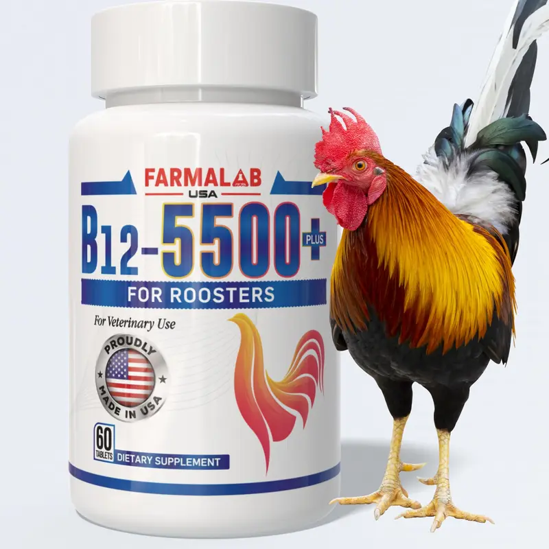 l carnitine for gamefowl L-Carni (15 ml) main image 1