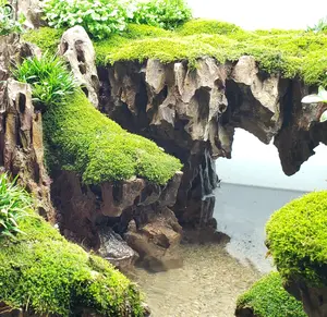 Dragon Ohko Rock 15 Lbs. Mix Size Rock Kit