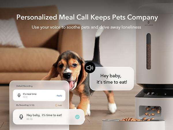 PETLIBRO Automatic Cat Feeder with Alexa,5G WiFi Automatic Pet Feeder with Freshness Preservation, 5L Timed Cat Feeder with Low Food Sensor, pet supplies