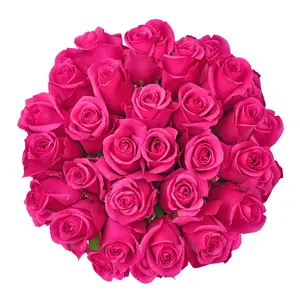 Hot Pink Roses - Choose from 25 to 200 Stems for Flower Arrangements or Bouquet