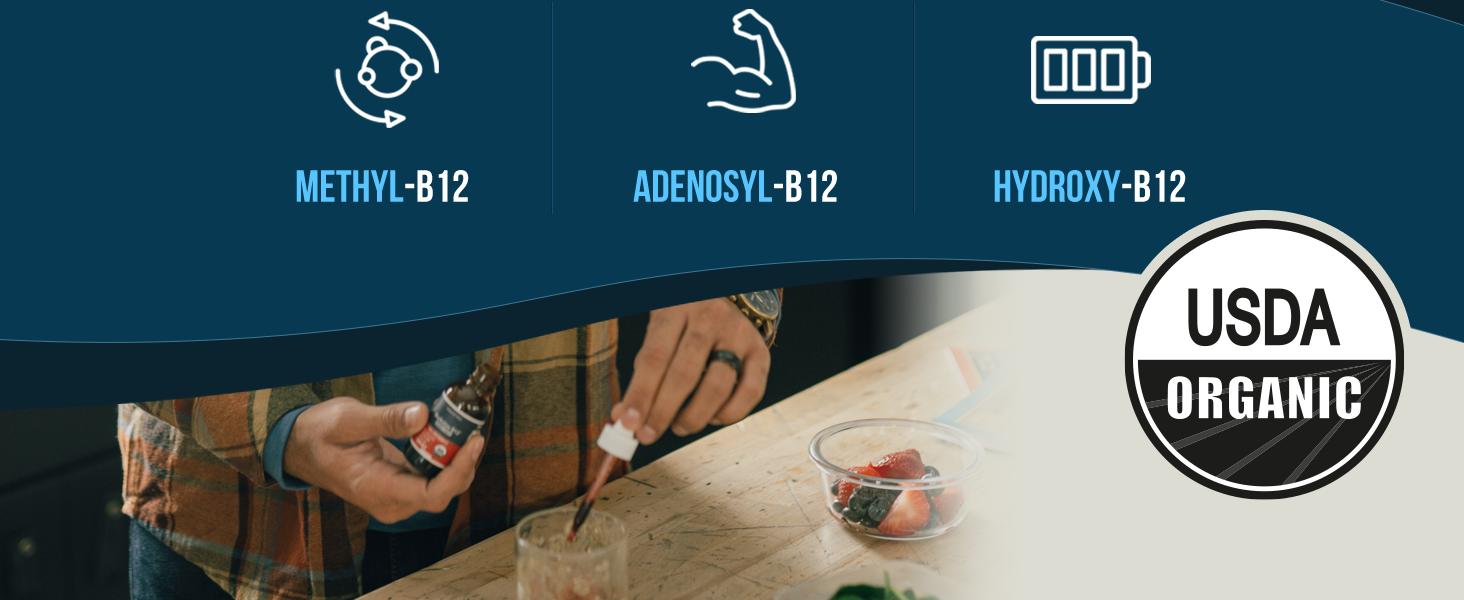 BioActive B12 Liquid: Vitamin B12 Plus L-Methylfolate Healthcare Fitness Supplement Edible