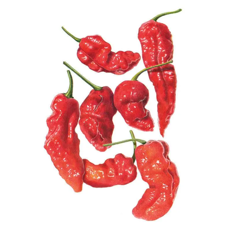 Ghost Bhut Jolokia Spicy Chili Pepper Seeds – Hottest Peppers with High Heat Units, Ideal for Salsa Making, Culinary Use in Indian Cuisine & Spicy Foods, Hot Sauce Ingredient, Home Garden Supplies for Home Improvement, Fiery Kick