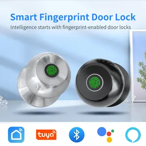 Smart Fingerprint Door Lock, 1 Count Fingerprint Door Handle with Anti-theft Function, Intelligent Door Handle with Emergency Keys, TUYA APP, Biometric Lock Great for Room, Garage, Apartment, Room Accessories#FathersDayGift Hardware Home