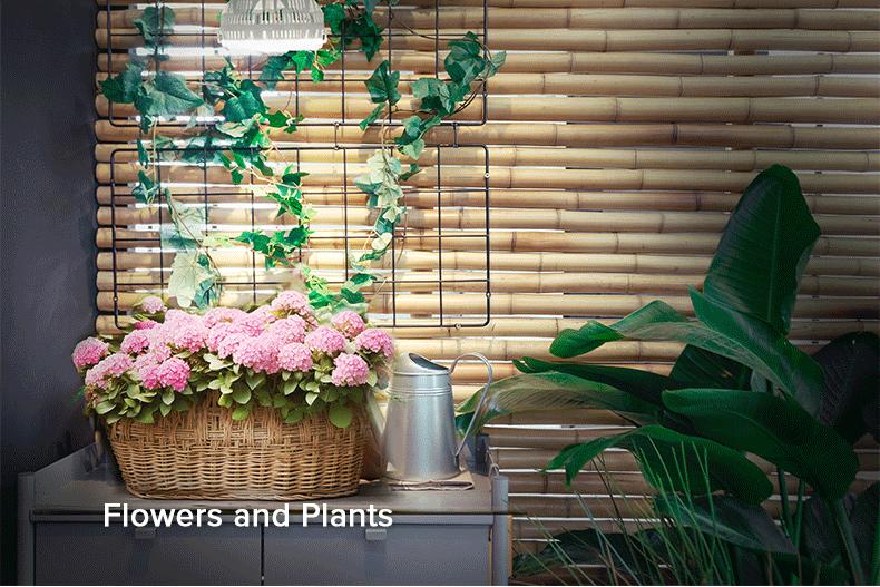 Sansi 40W Full Spectrum Grow Light, with Optical Lens and High PPF,with 5-Level Dimmable, Auto On Off 4 8 12 Hrs Timer for Seeding and Growing energy efficient Sansi 40W Full Spectrum Grow Light, with Optical Lens and High PPF,with 5-Level Dimmable, Auto On Off 4 8 12 Hrs Timer for Seeding and Growing energy efficient